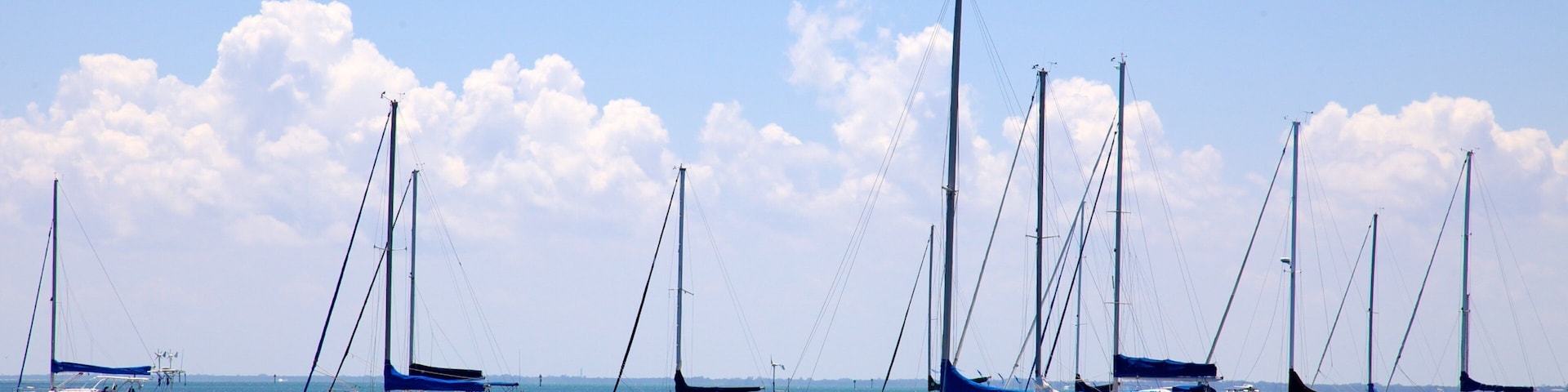 Crandon 小港 其中包括 帆船活動 和 海灣或海港