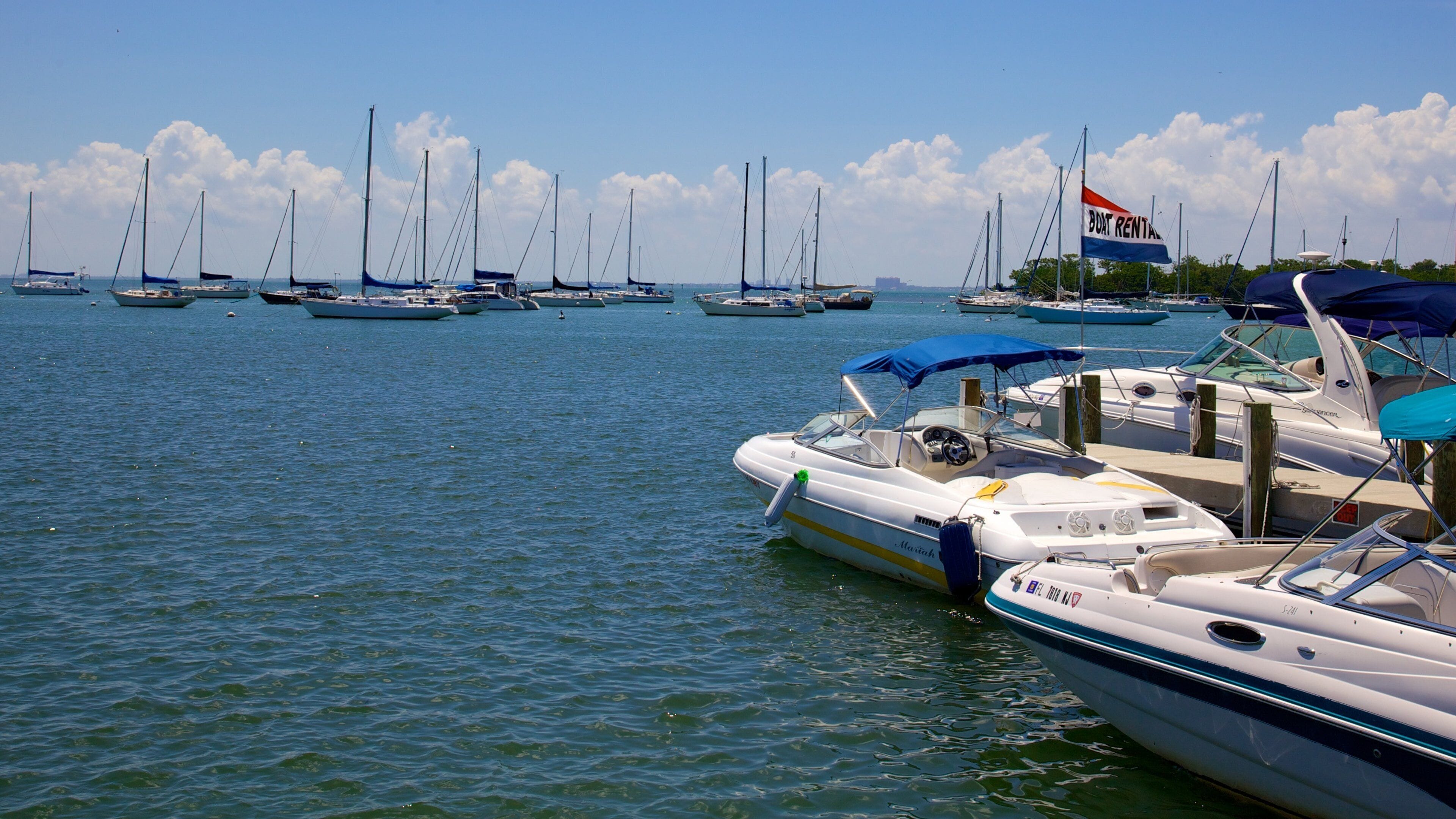 Crandon Marina featuring general coastal views and boating