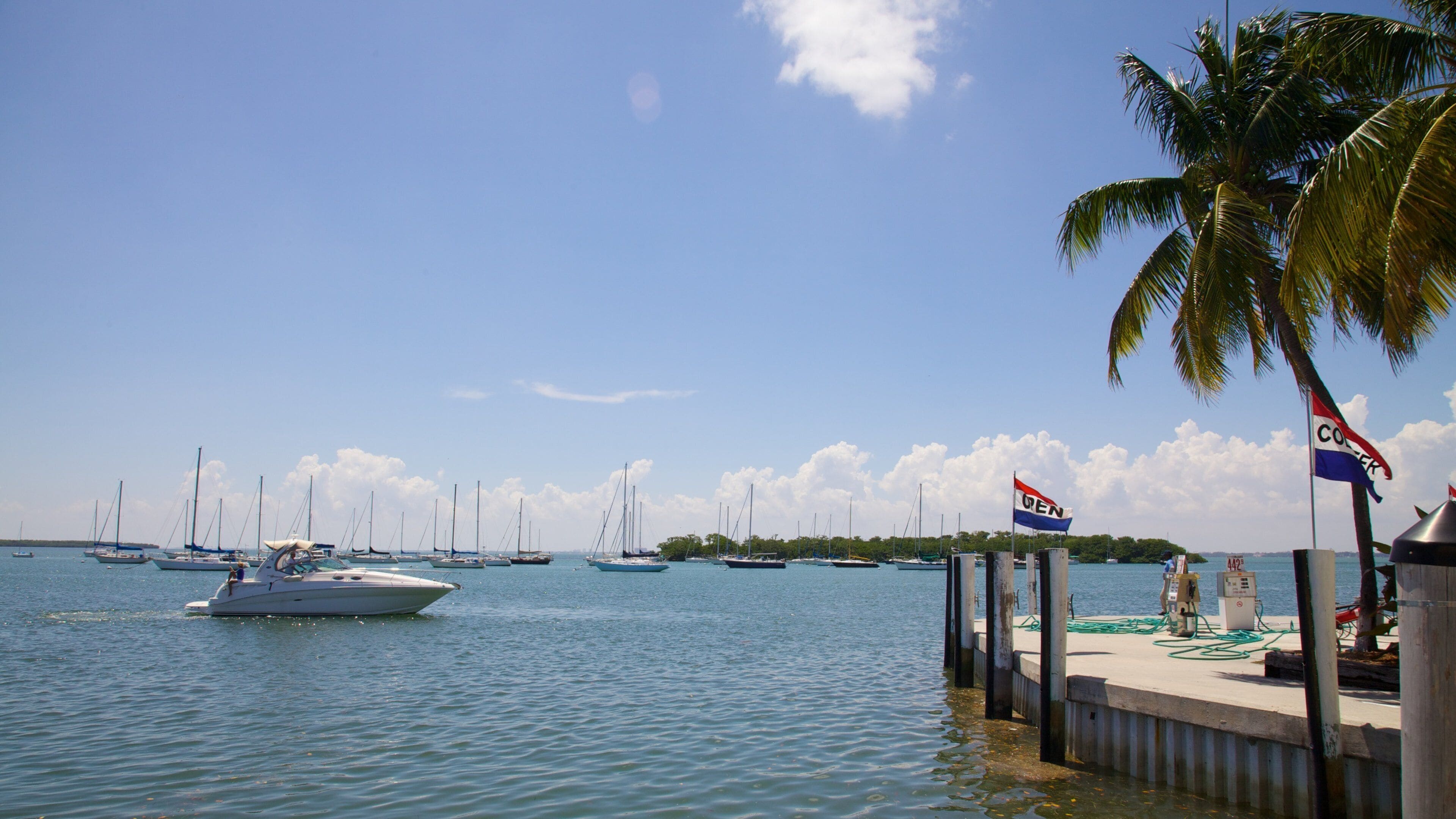 Sailboats and motorboats enjoying a sunny day at Crandon Marina in Key Biscayne, Florida
