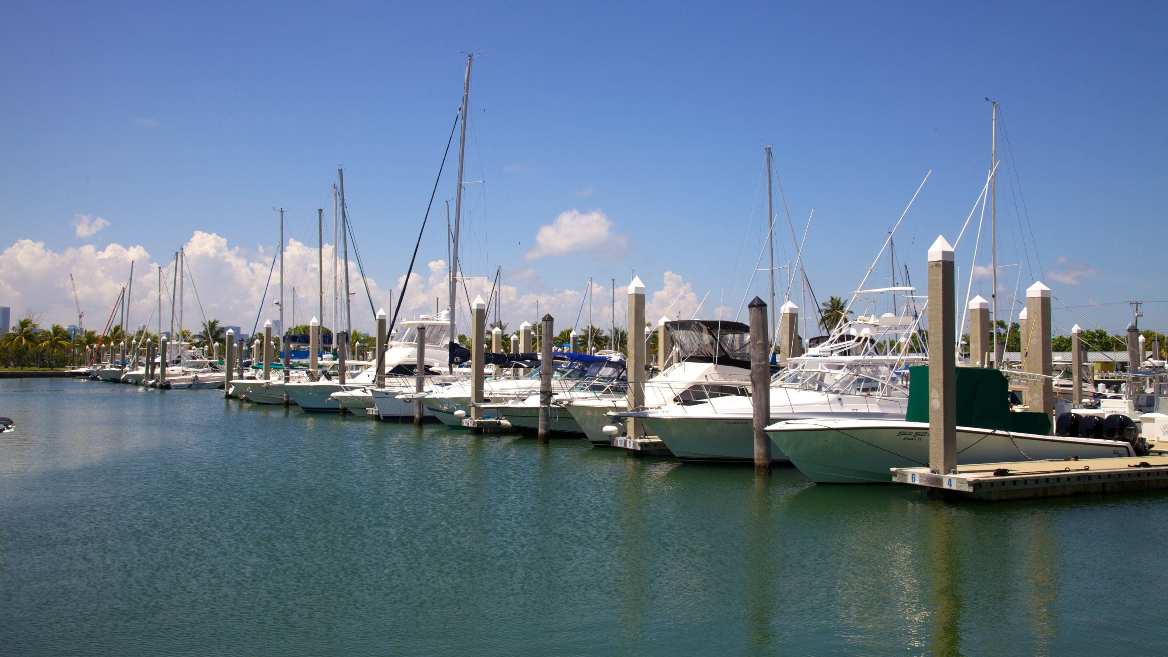 <h2>Top-rated places to stay near the beach in Key Biscayne</h2>