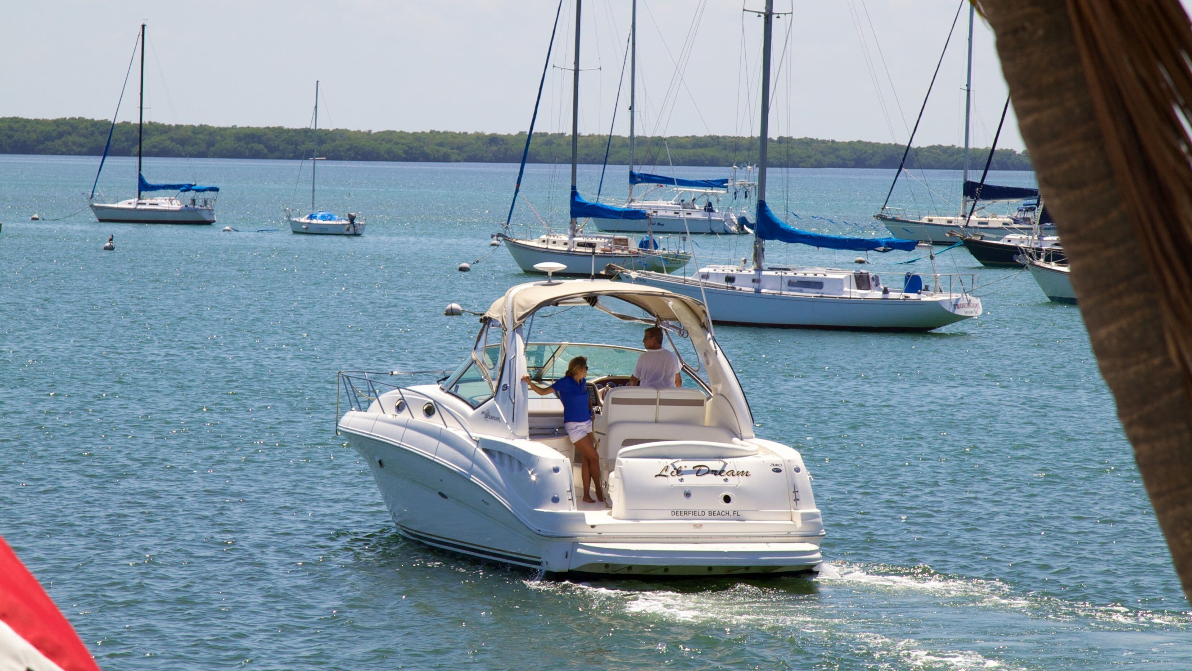 Boaters enjoy a sunny day at Crandon Marina in Key Biscayne, Florida with sailboats in the background