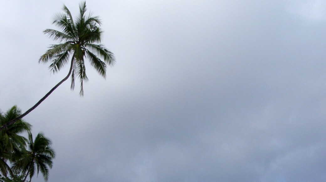 Beach in Punta Banco