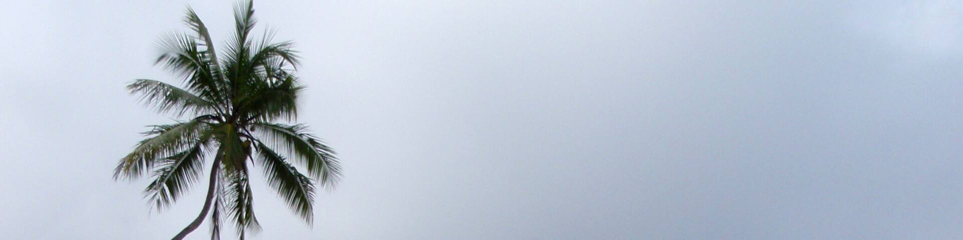 Beach in Punta Banco