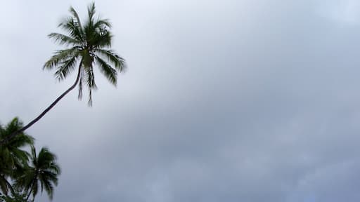 Beach in Punta Banco