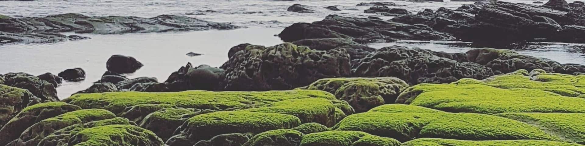 Empty secluded beaches. Great uncrowded waves at the end of the road on the Pacific coast of CR.
