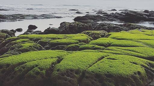Empty secluded beaches. Great uncrowded waves at the end of the road on the Pacific coast of CR.
