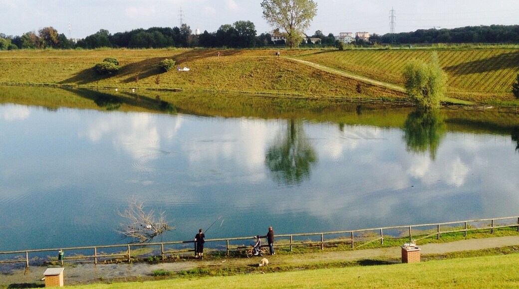 This is a photo of a monument which is part of cultural heritage of Italy. This monument participates in the contest Wiki Loves Monuments Italia 2014. See authorisations.