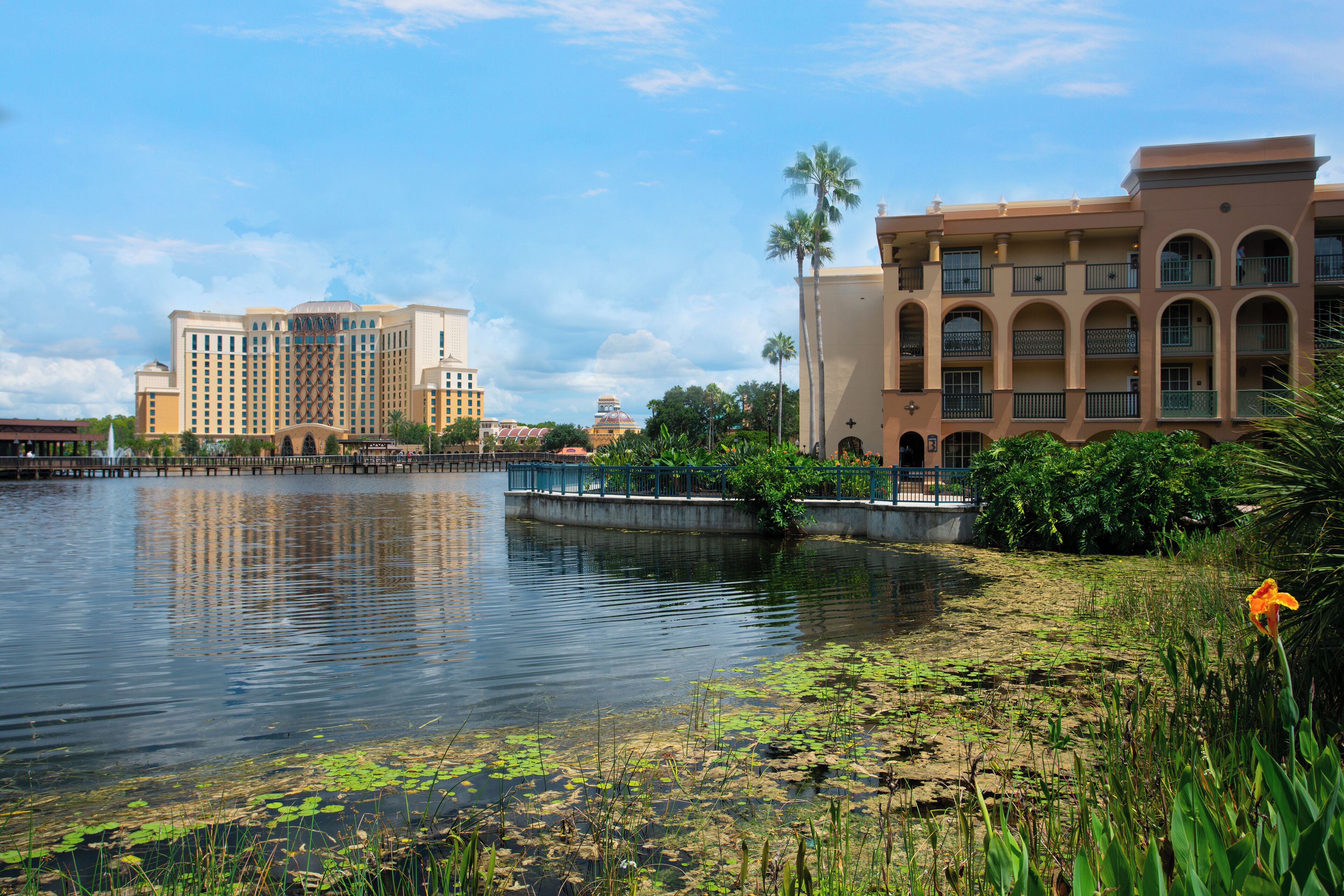 EyeEm Custom Shoots Q4 2018