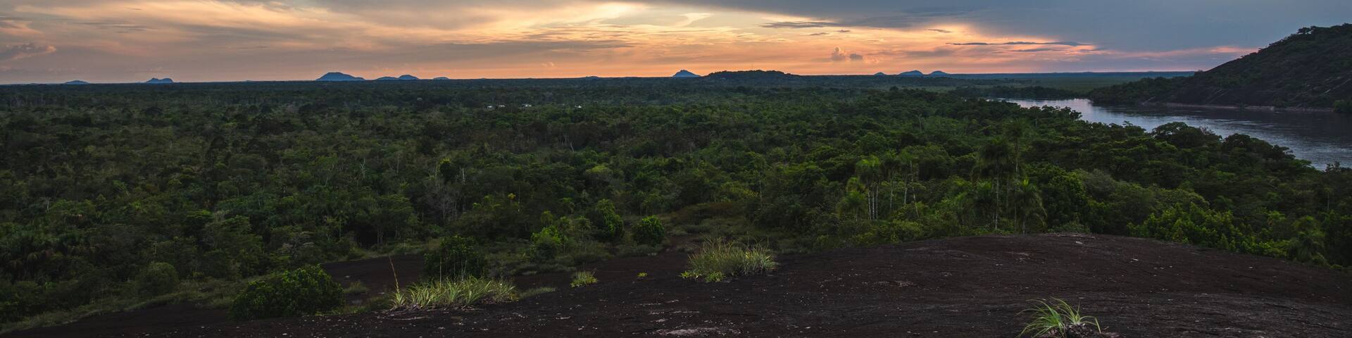 A dense forest with a river and distant mountains under a cloudy sky.