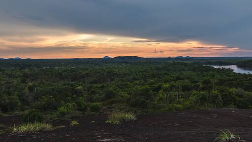 A dense forest with a river and distant mountains under a cloudy sky.