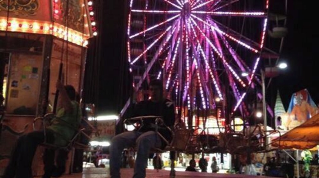 Rodeo=cowboys
The yearly Rodeo and Fair. St Cloud/Kissimmee Fl