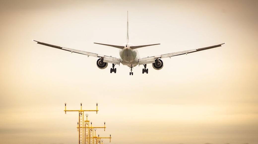 Commercial airplane landing at sunset. Runway approach lights. Concept for transport,transportation,travel,aviation,vacation,business travel,freedom,reaching destination,speed. Shot at Milan Malpensa