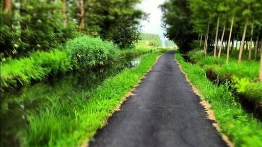 Bicycle trip around Lombardia Ticino park