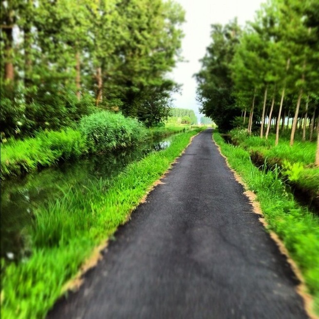 Bicycle trip around Lombardia Ticino park