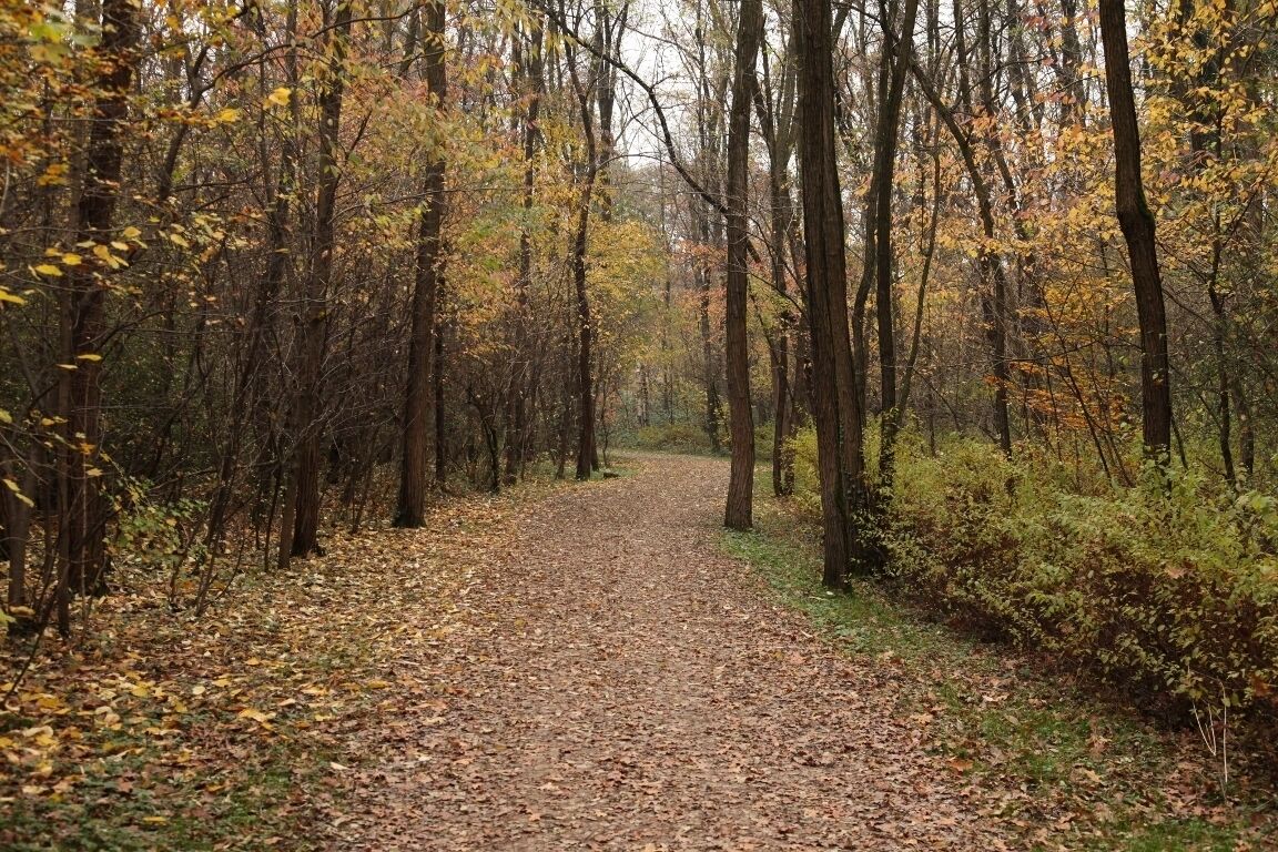 Parco Groane 11/2010