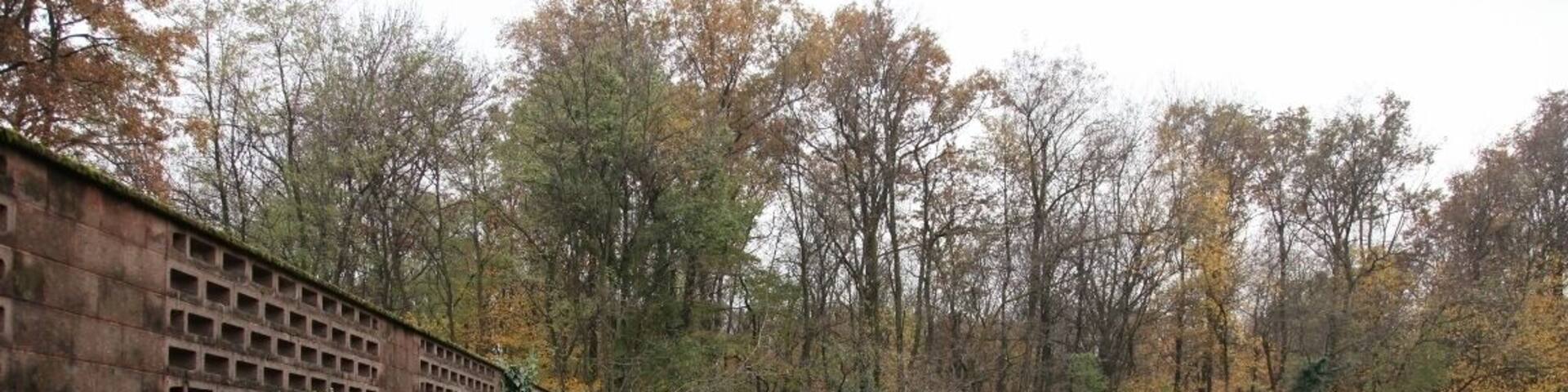 Parco Groane 11/2010