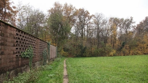 Parco Groane 11/2010