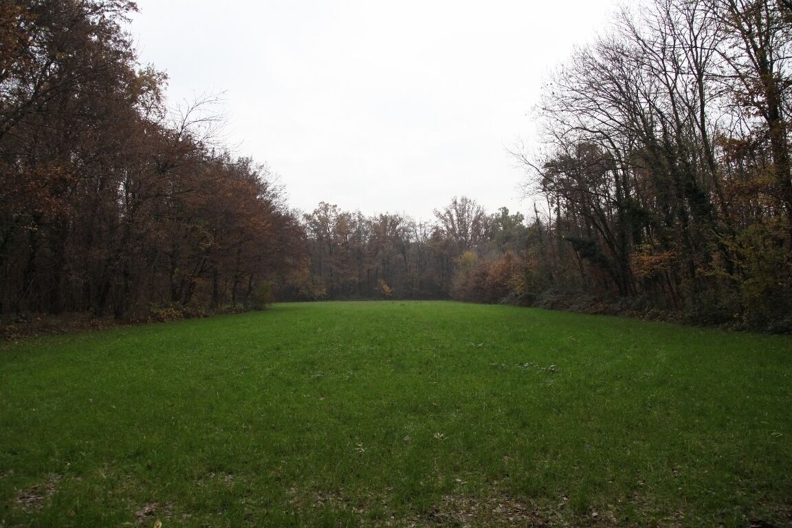 Parco Groane 11/2010