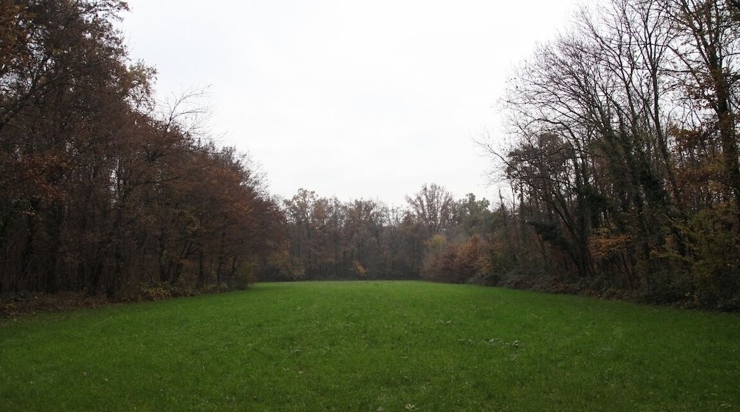 Parco Groane 11/2010