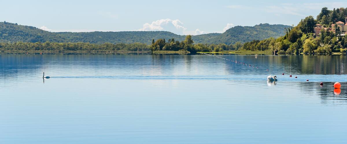 A calm lake with a swan, buoys, and a distant hill with trees and buildings.