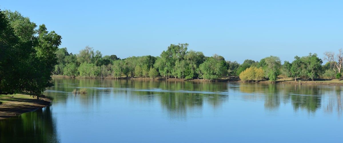 Discovery Park in  Sacramento in late spring.