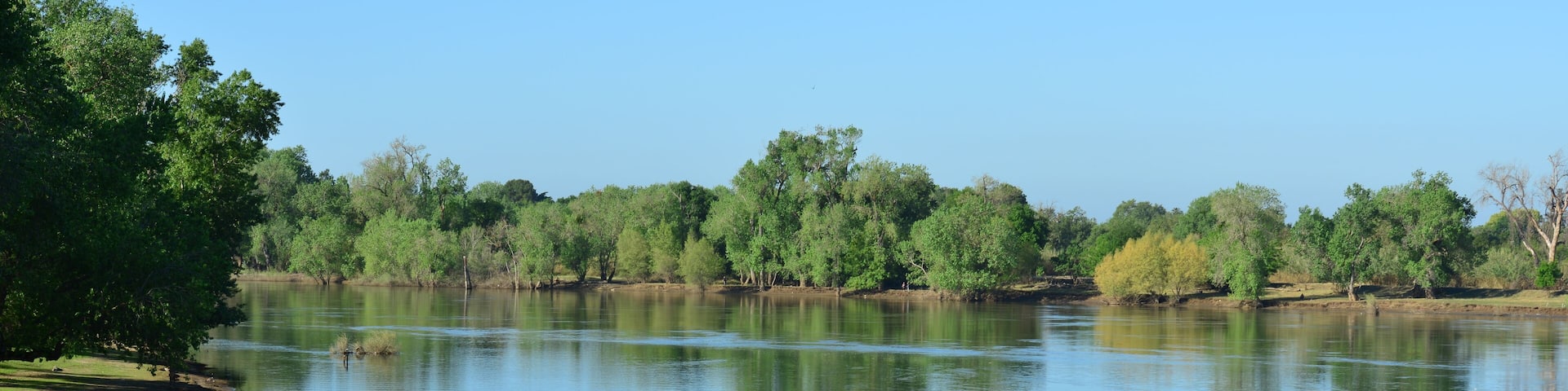 Discovery Park in Sacramento in late spring.
