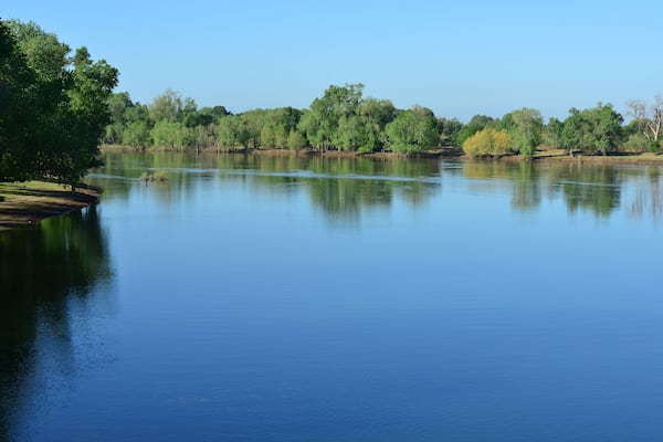 Discovery Park in Sacramento in late spring.