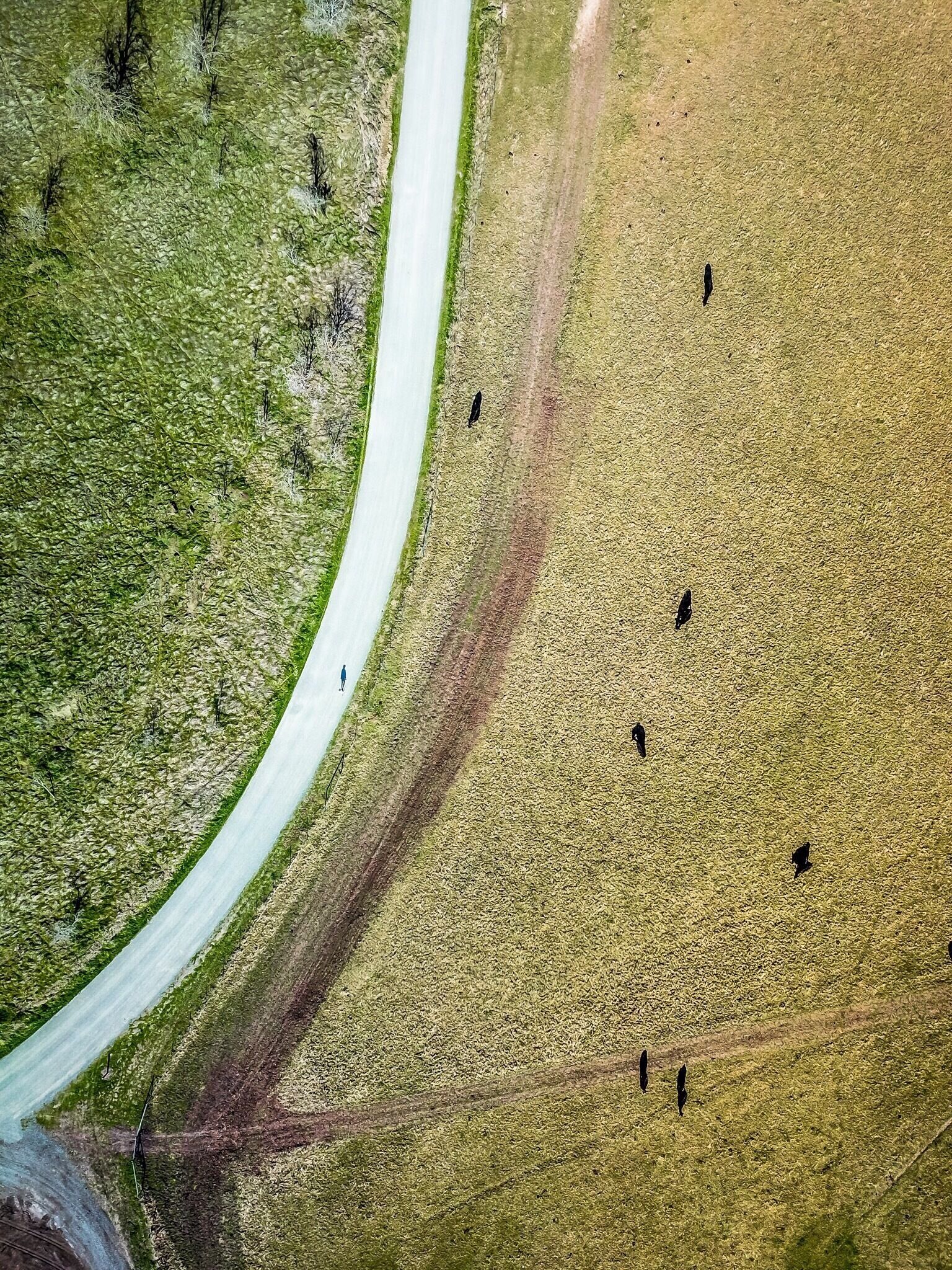 #parks #drone #dji #nikon #nikonphotography #travelgram #travel #vacation #instacool #instadaily #instatravel #instapassport #instaphoto #wowplaces #toptags #photooftheday #nikonglobal #travelpage #nikonartists #nikontop #nikoneurope #pgdaily #tlpicks #travelandlife #nikon_hunt #bbctravel #lovetheworld #webstapick #nikonnofilter #huntingforviews 