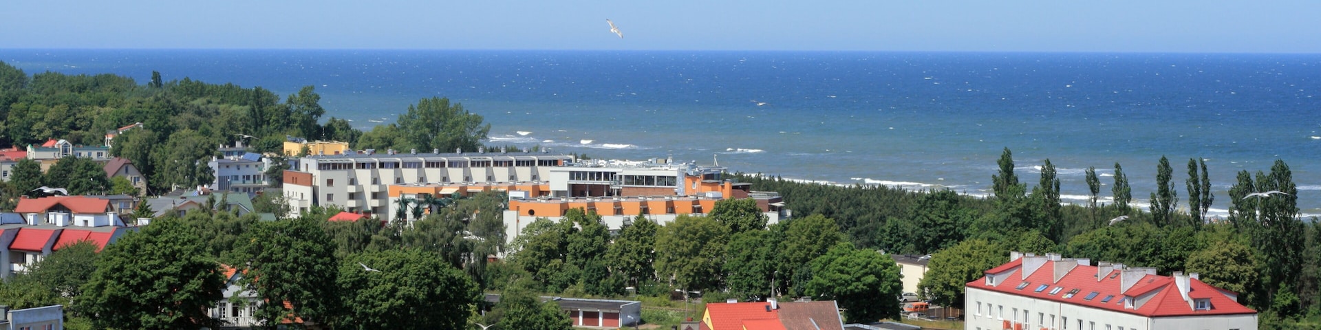 Aerial view of the beach and Baltic sea