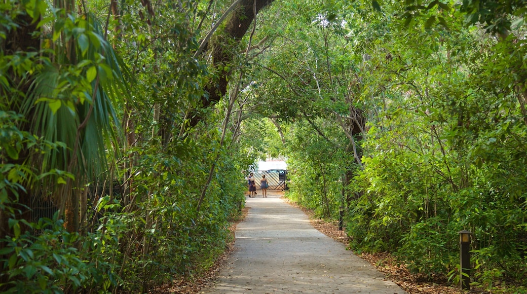 Barnacle State Historic Park