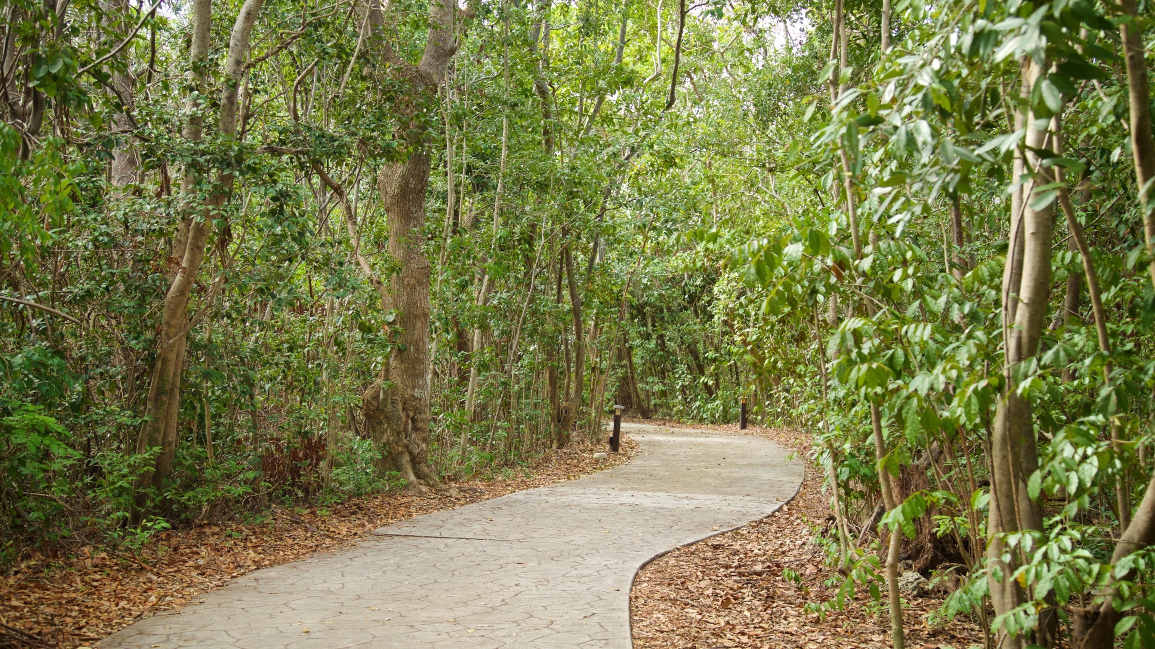 Barnacle State Historic Park which includes a park