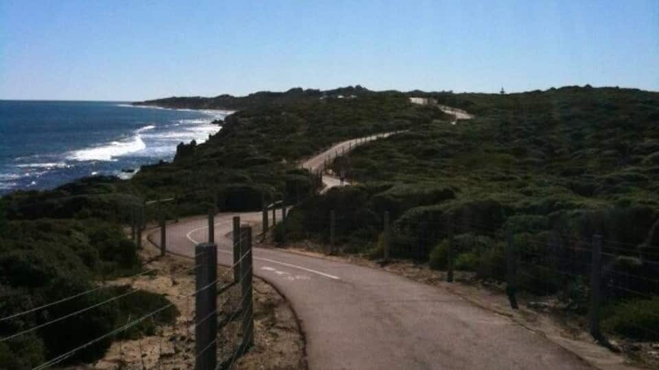 Une route côtière qui serpente à travers un paysage vallonné, avec une clôture d’un côté et l’océan de l’autre.