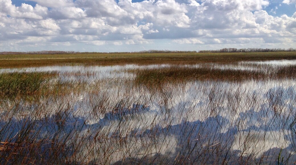 The beauty of the Everglades #TakeAHike