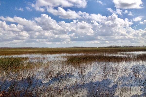 The beauty of the Everglades #TakeAHike
