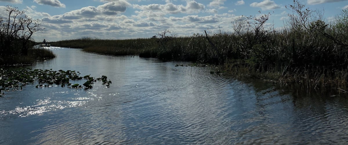 The beauty of the Everglades...