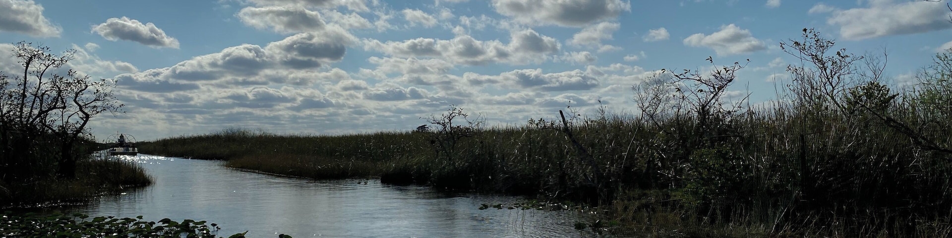 The beauty of the Everglades...