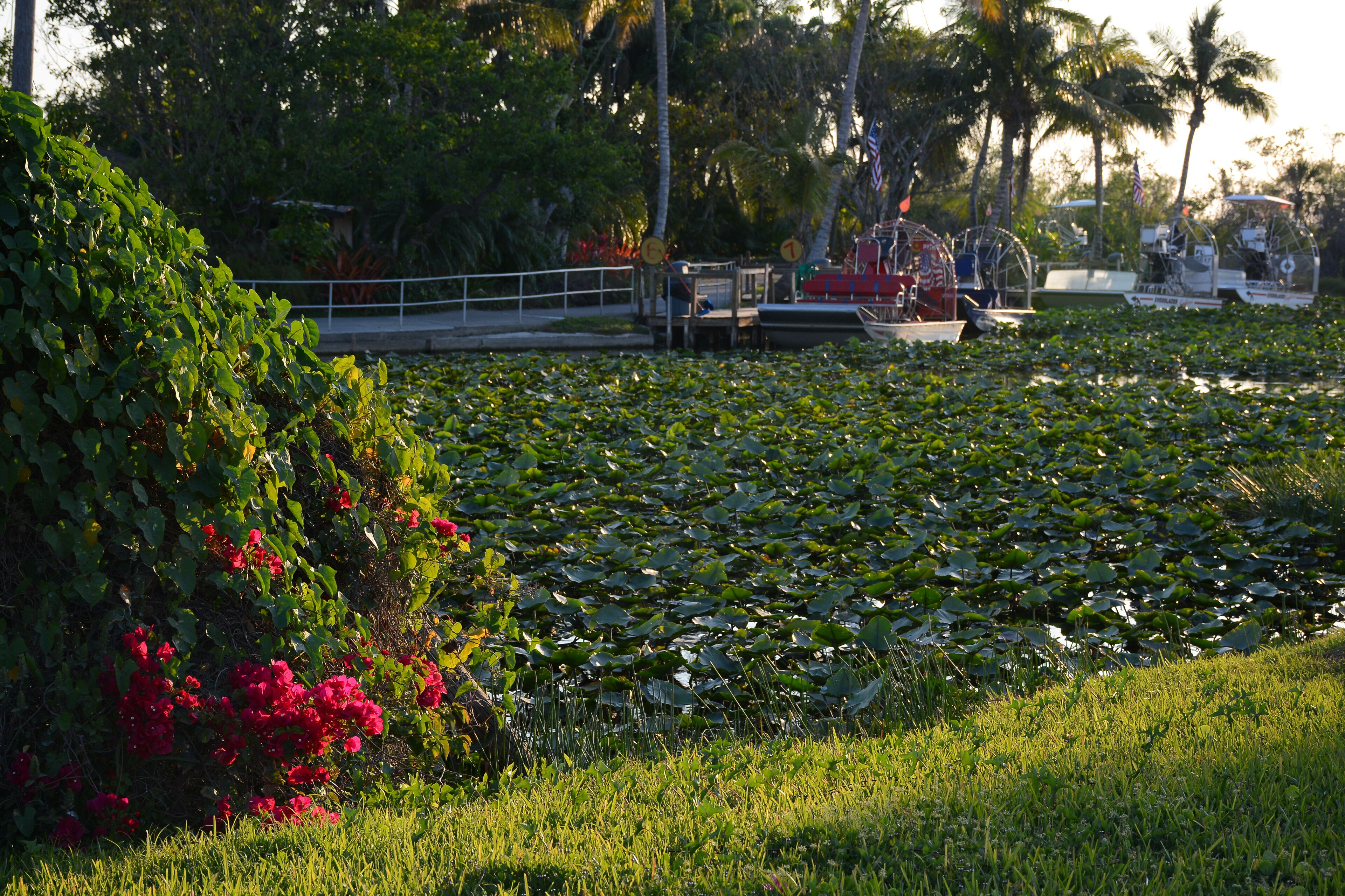Everglades Safari Park