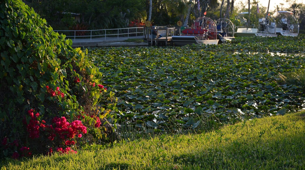 Everglades Safari Park