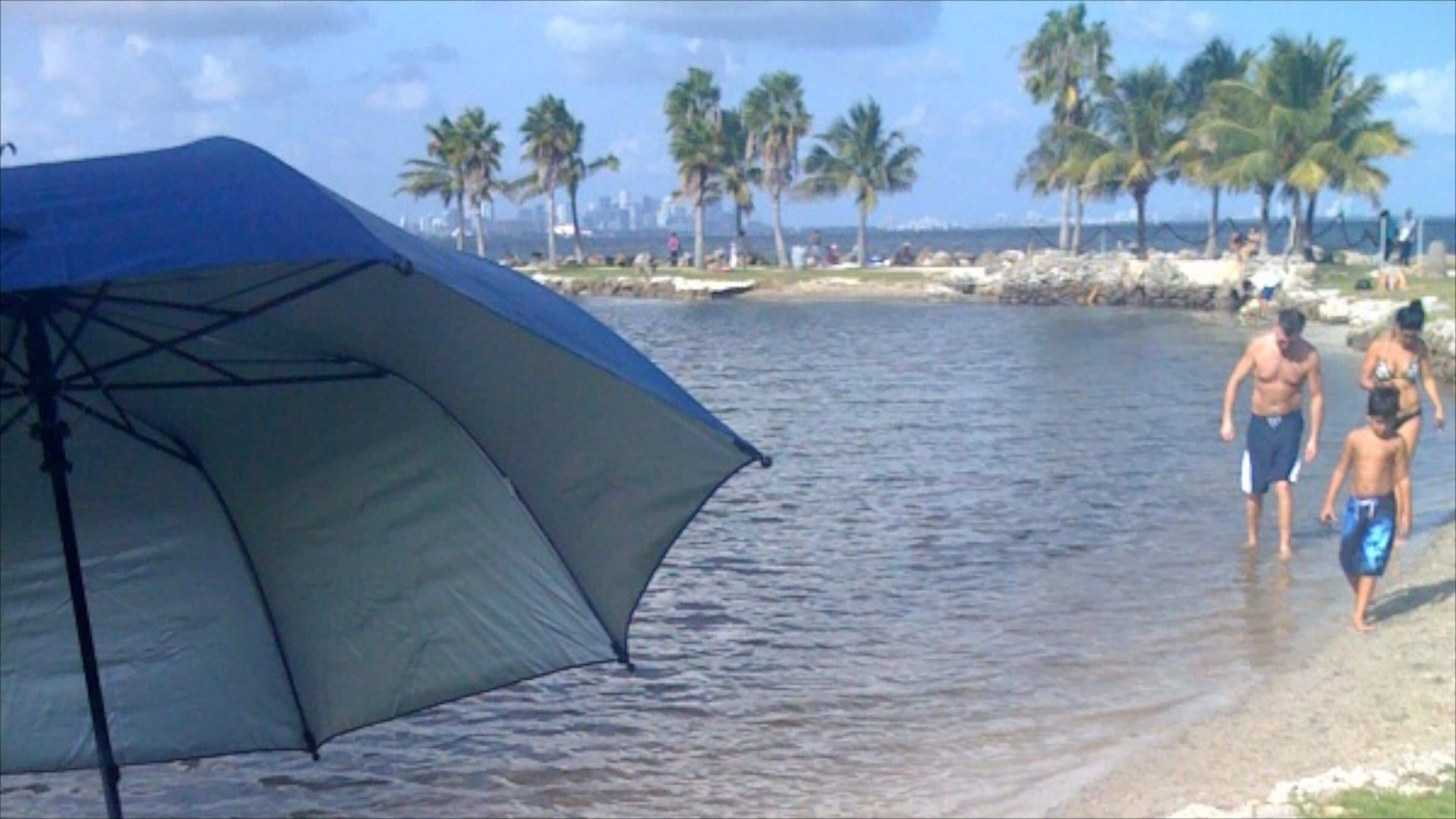 Matheson Hammock Park showing a lake or waterhole as well as a family
