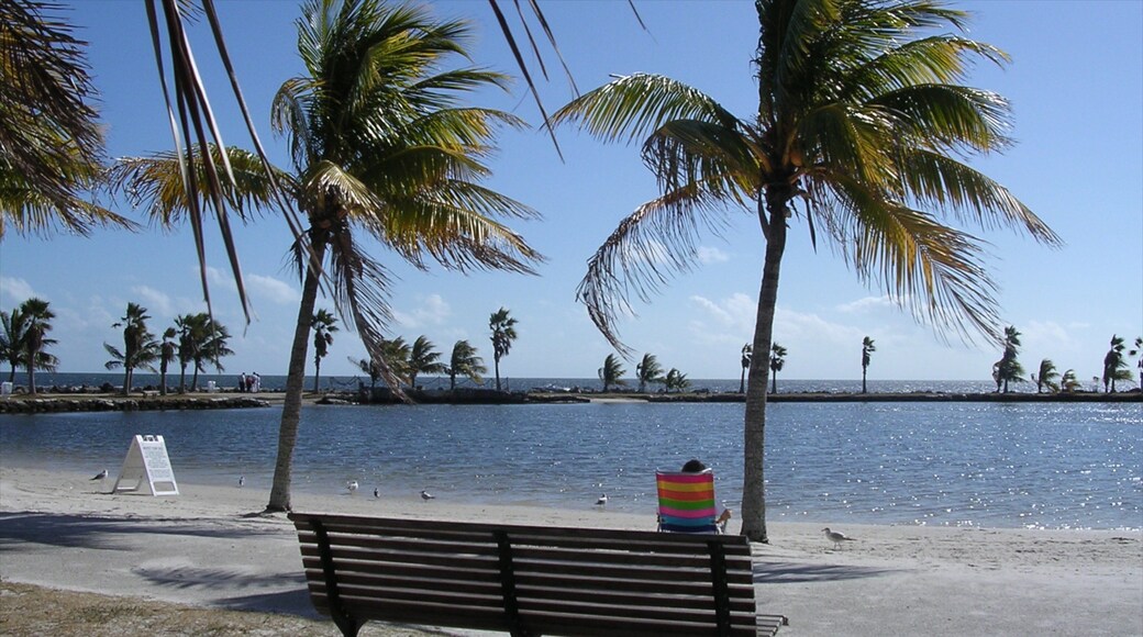 Miami toont tropische uitzichten en een zandstrand