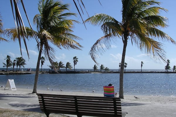 Ein Strand mit Palmen, einer Bank und einem Schild.