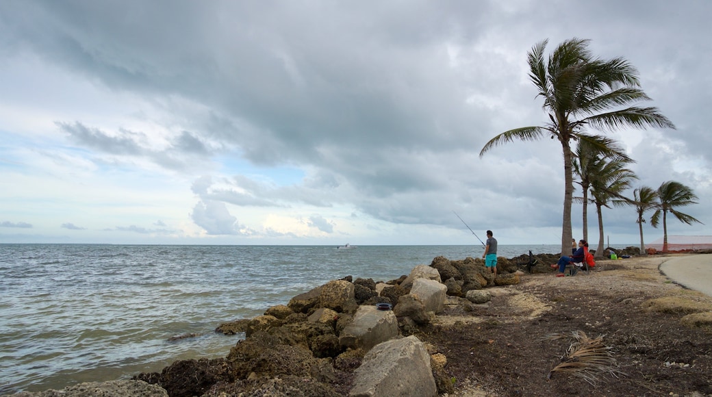 Matheson Hammock Park