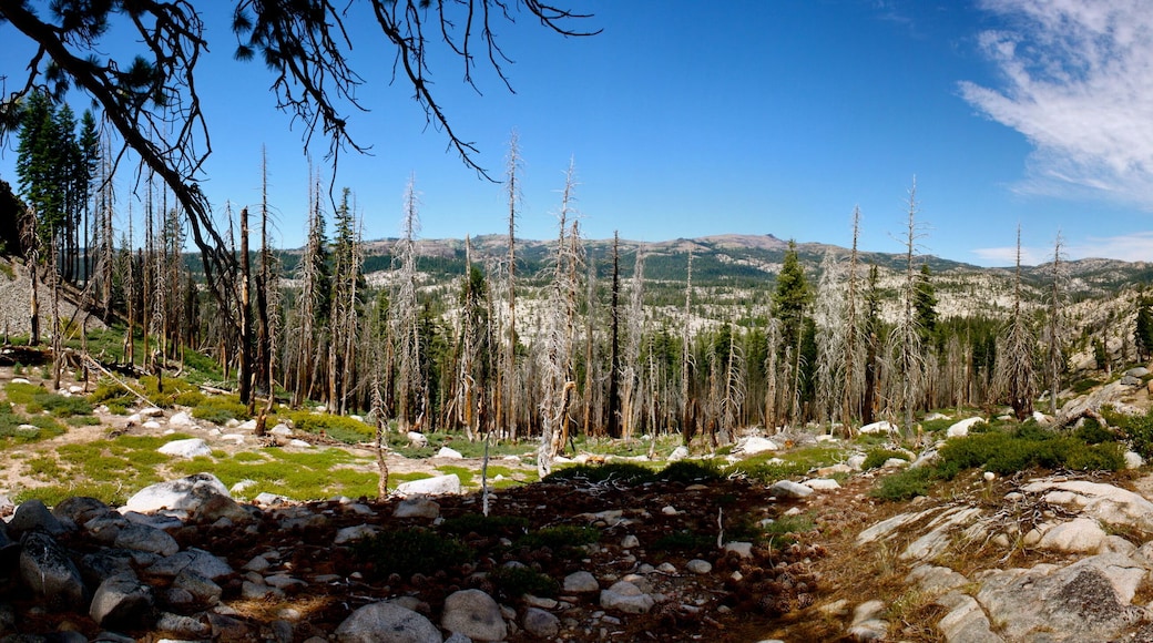 Utica and Union Reservoirs in Stanislaus National Forest in California
