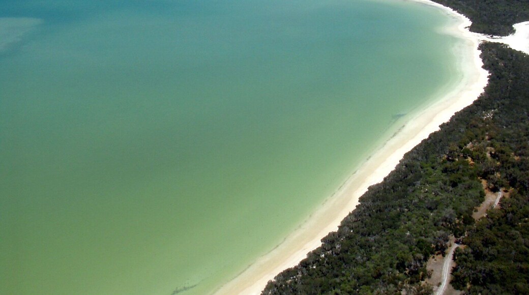 Disclaimer: I'm not exactly sure of the location of this photo. We charted a helicopter in White Gum Valley and spent about 8 hours flying along the coast to Albany. We stopped to refuel a couple of times but were mostly over rugged coastline and outback the whole flight. It was amazing! If you have the means, I highly recommend it!