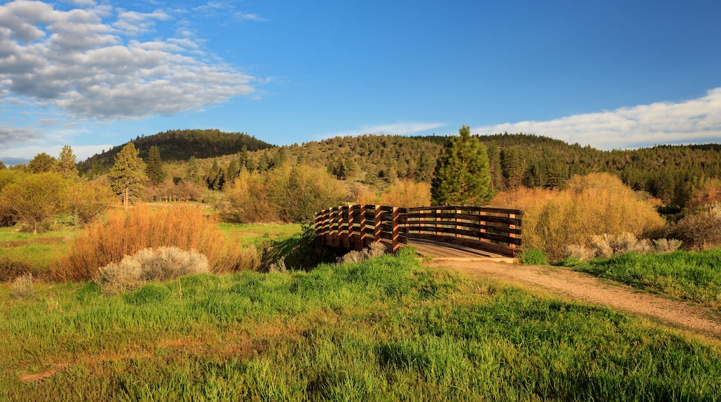 Susanville Ranch Park