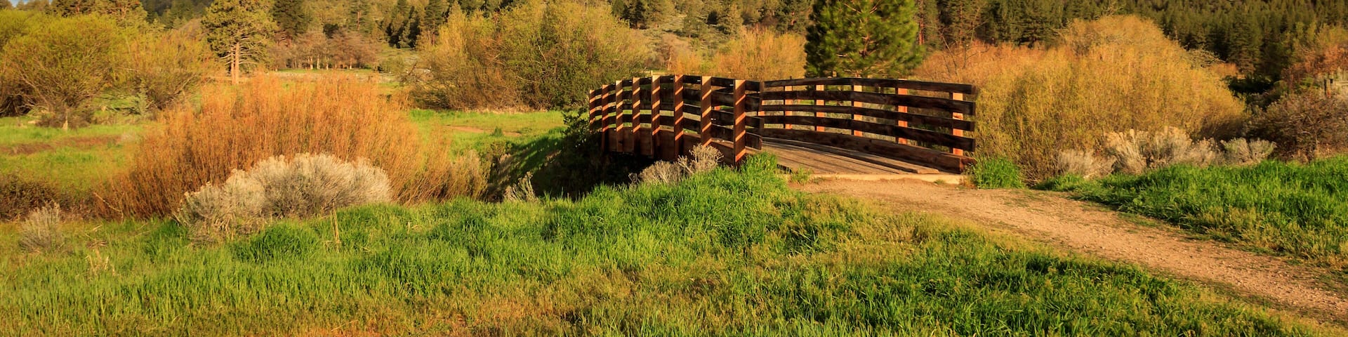 Susanville Ranch Park Bridge