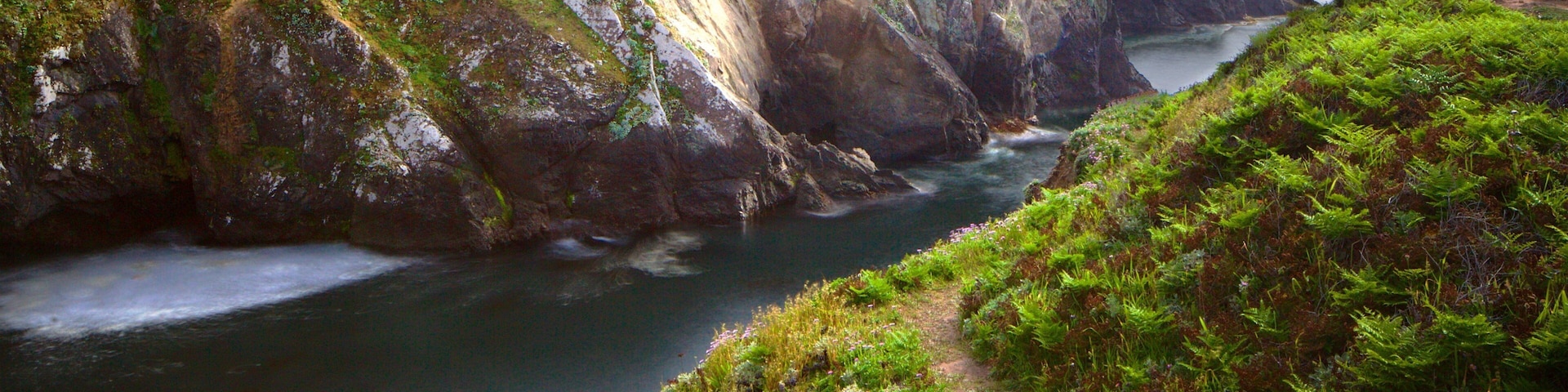 Parque estatal Mendocino Headlands mostrando vistas de una costa, un cañón o garganta y litoral accidentado
