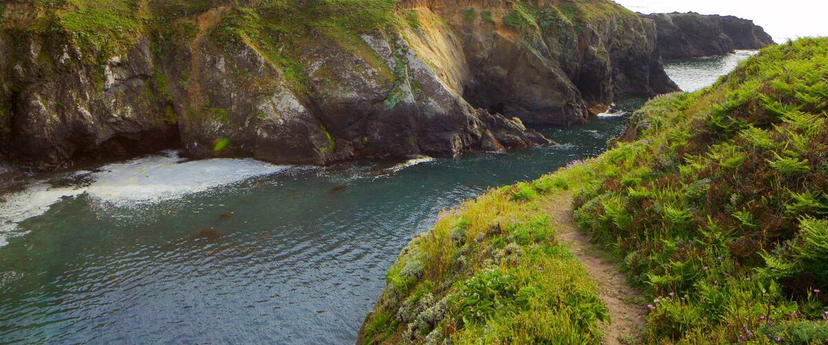 Mendocino Headlands State Park featuring general coastal views and rugged coastline