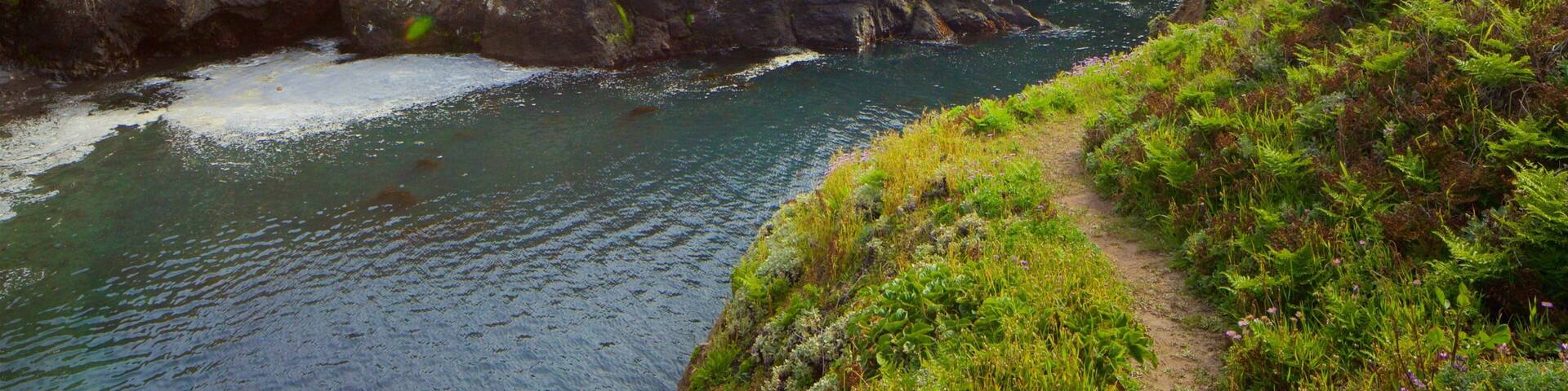 Mendocino Headlands State Park showing general coastal views and rugged coastline