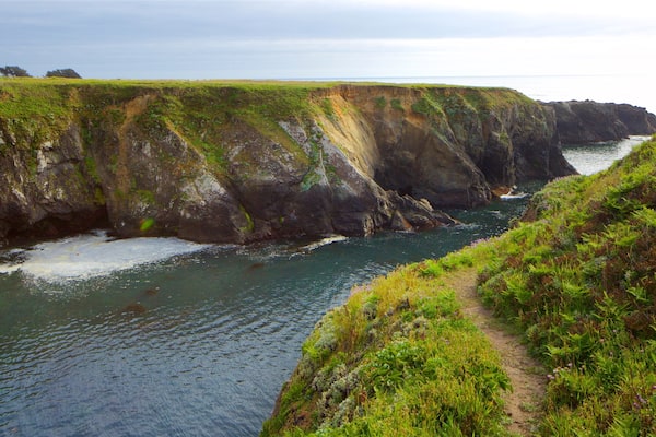 Mendocino Headlands State Park showing general coastal views and rugged coastline
